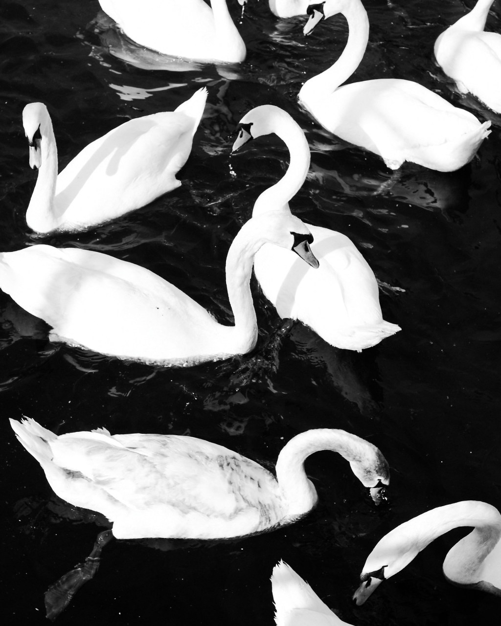 Zürich 2025. Nikon Z Fc